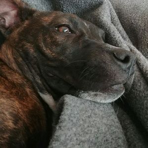 Meet your Posher, Denise